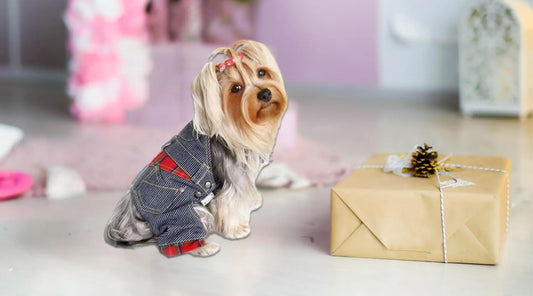 Add-a-Playful-Twist-to-Your-Pet-s-Wardrobe-with-the-Adorable-Stripy-Denim-Overall BearwoodEssentials-Elevated Pet Feeders