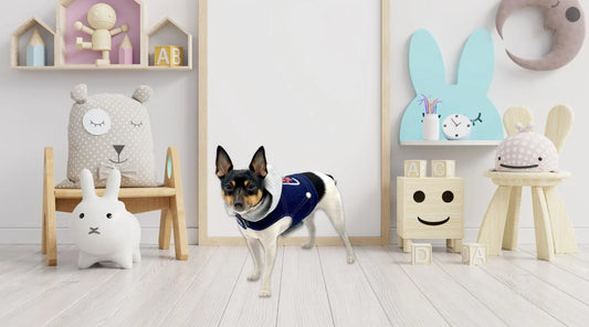 Elevate-Your-Pet-s-Style-with-the-Denim-Hoodie-Love-Harness-Vest BearwoodEssentials-Elevated Pet Feeders