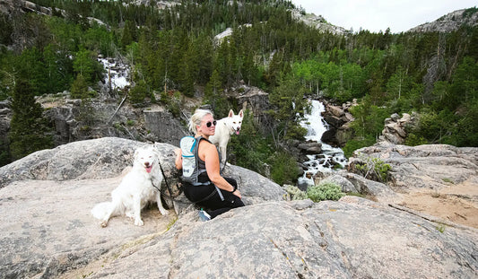 Fun ways to exercise BearwoodEssentials-Elevated Pet Feeders
