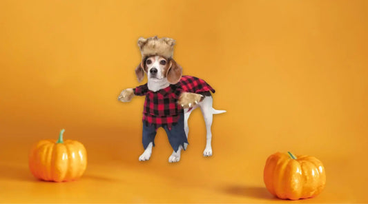 Unleash-Spooky-Fun-with-the-Werewolf-Costume-for-Your-Pet BearwoodEssentials-Elevated Pet Feeders