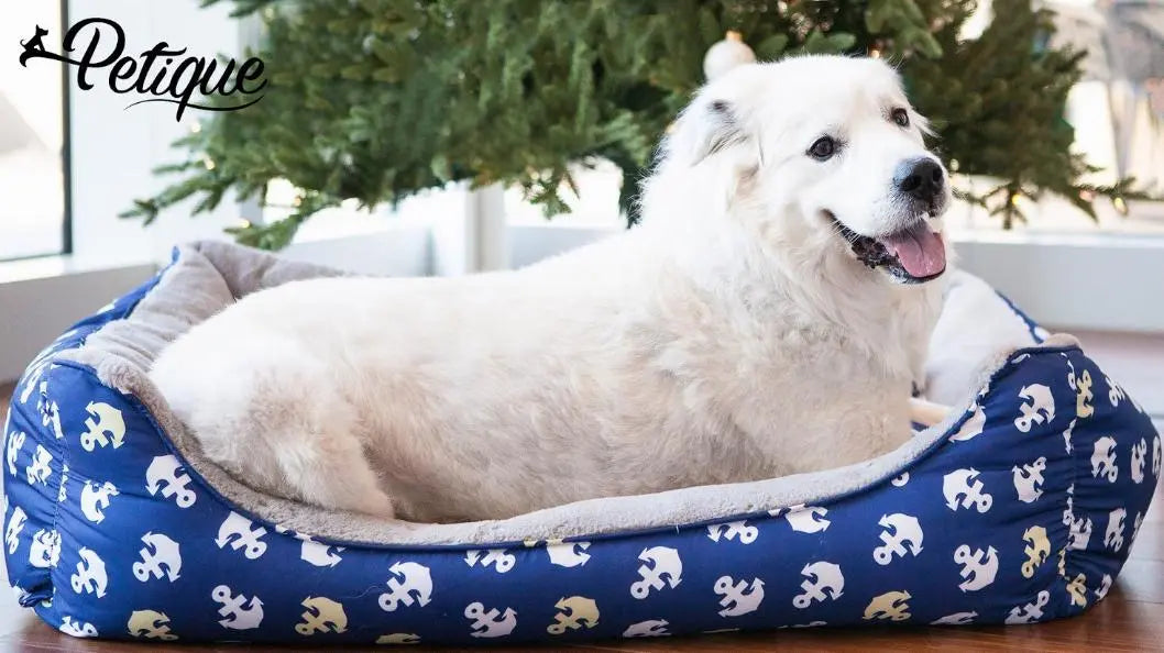 Anchors Away Pet Bed BearwoodEssentials-Elevated Pet Feeders