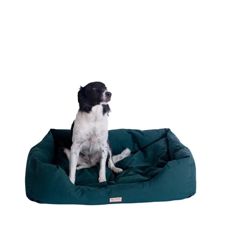 Armarkat Bolstered Dog Bed, Anti-Slip Pet Bed, Laurel Green BearwoodEssentials-Elevated Pet Feeders