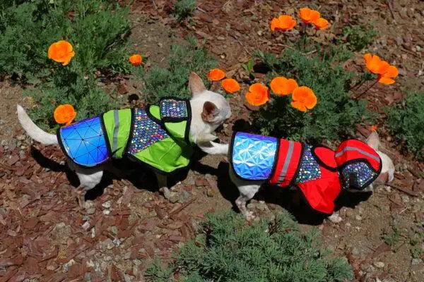 Birds of Prey Away Jacket BearwoodEssentials-Elevated Pet Feeders