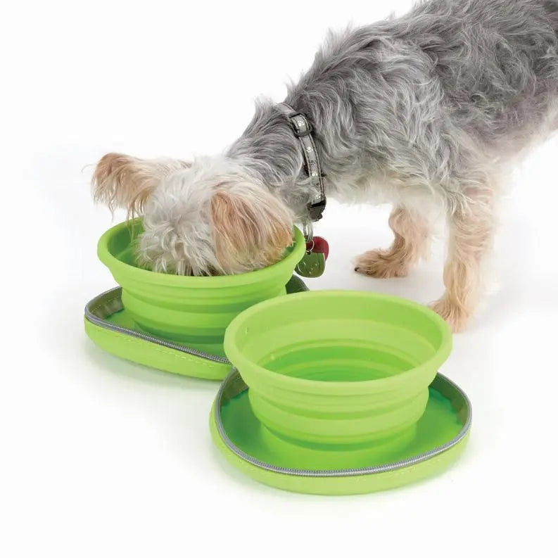 CR Collapsible Travel Diner 23oz BearwoodEssentials-Elevated Pet Feeders
