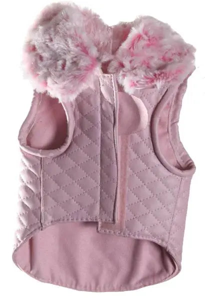 C'est La vie Leash BearwoodEssentials-Elevated Pet Feeders