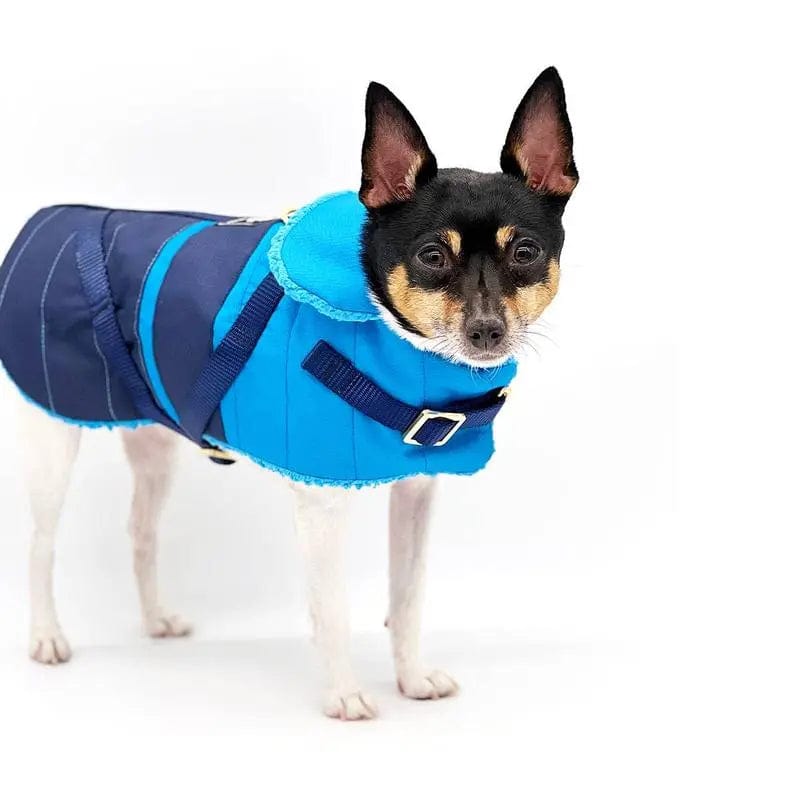"Clear Blue Sky" - DCNY Equestrian Collection BearwoodEssentials-Elevated Pet Feeders