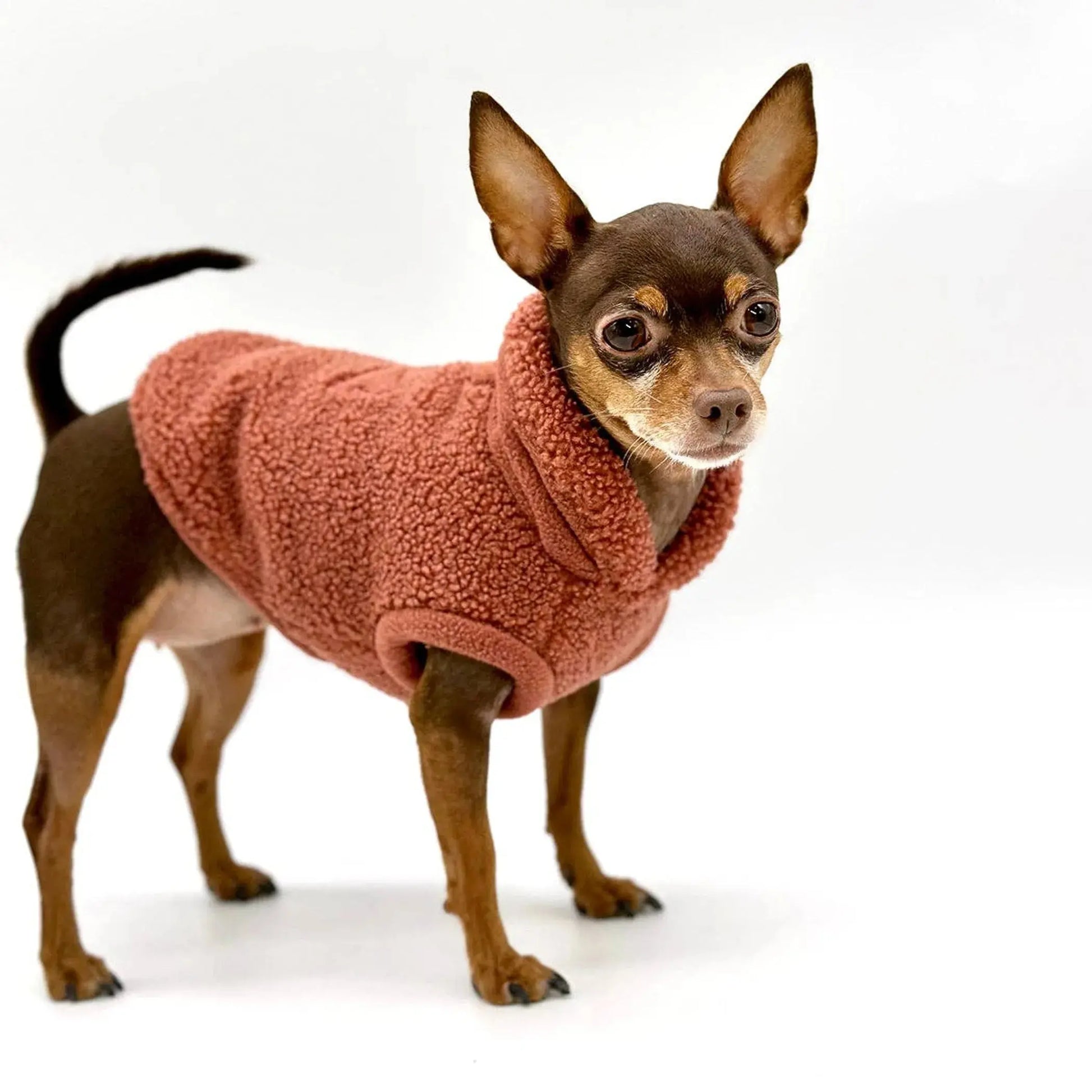 Cozy Sherpa Fleece Pullover DoggieCoutureNY