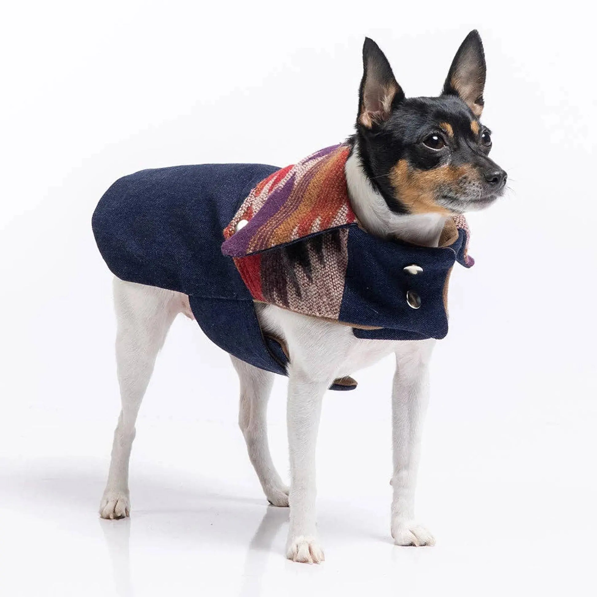 DCNY Ranch Coat DoggieCoutureNY