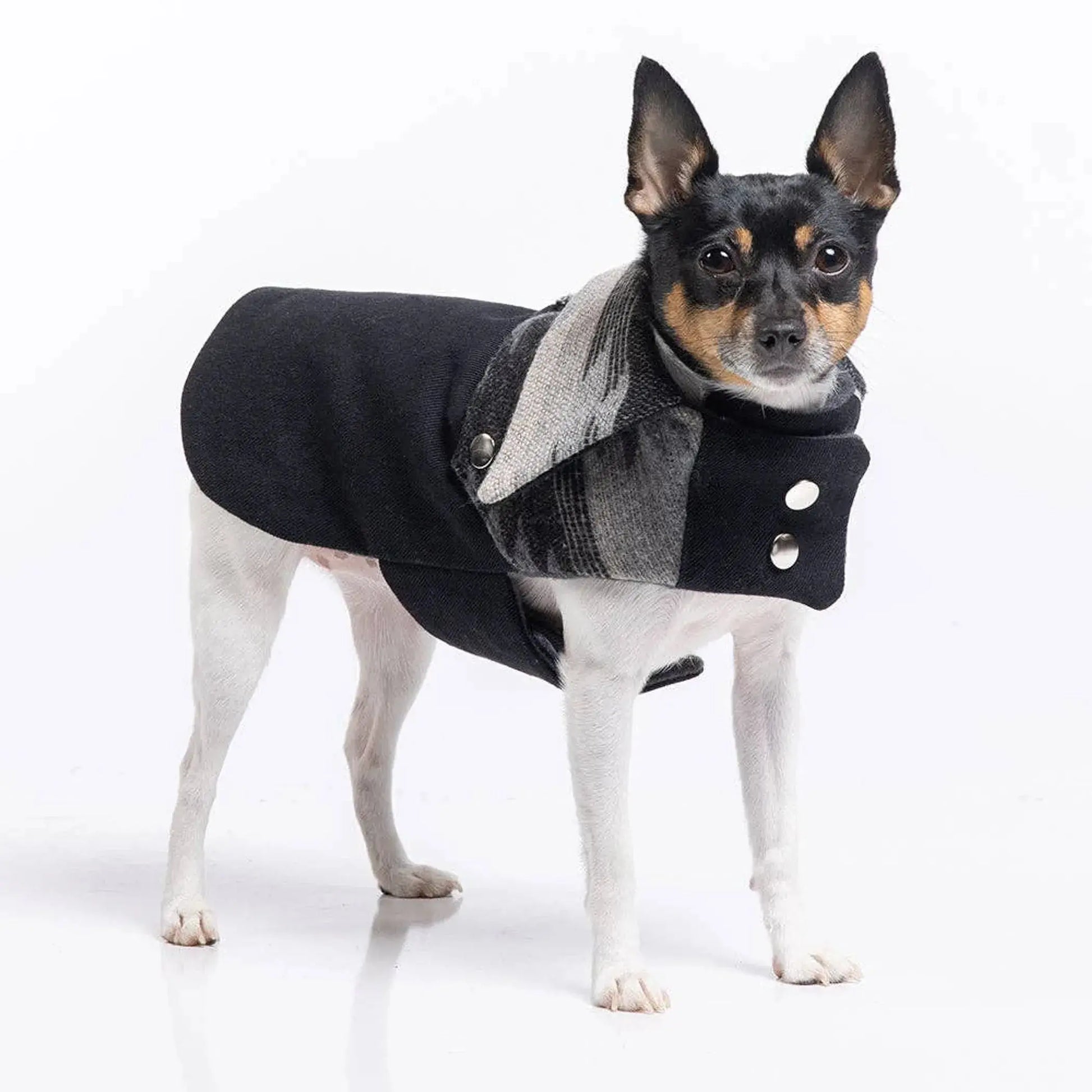 DCNY Ranch Coat DoggieCoutureNY