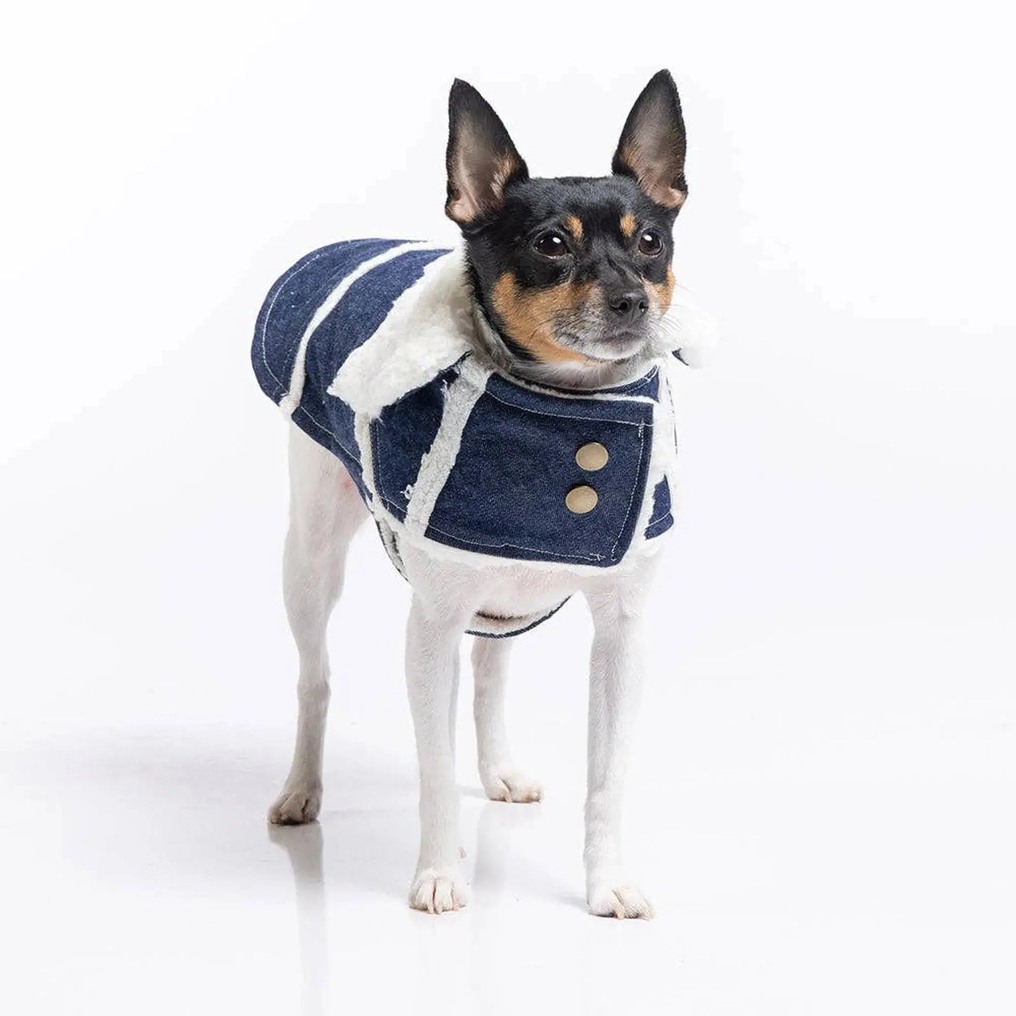 DCNY Ranch Coat DoggieCoutureNY