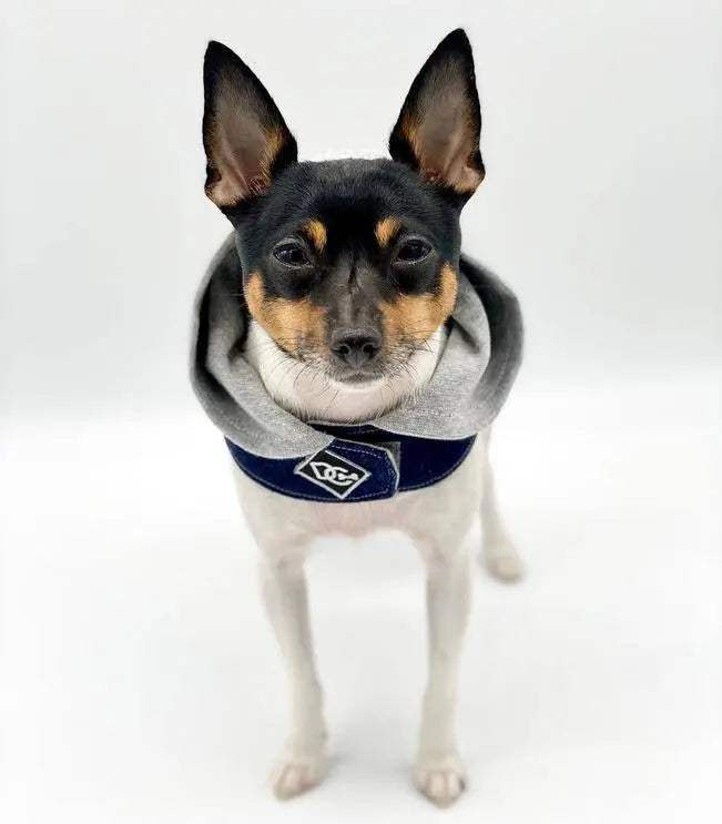 Denim Hoodie "Love" Harness Vest BearwoodEssentials-Elevated Pet Feeders