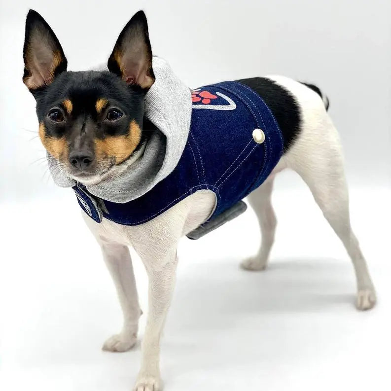Denim Hoodie "Love" Harness Vest BearwoodEssentials-Elevated Pet Feeders