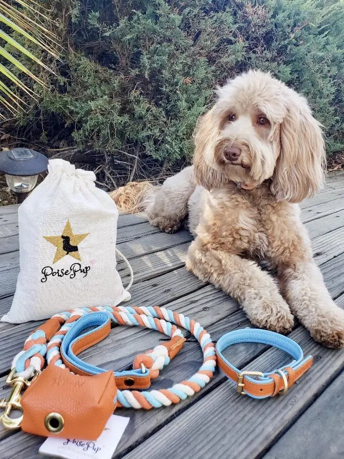 Dog Leash BearwoodEssentials-Elevated Pet Feeders