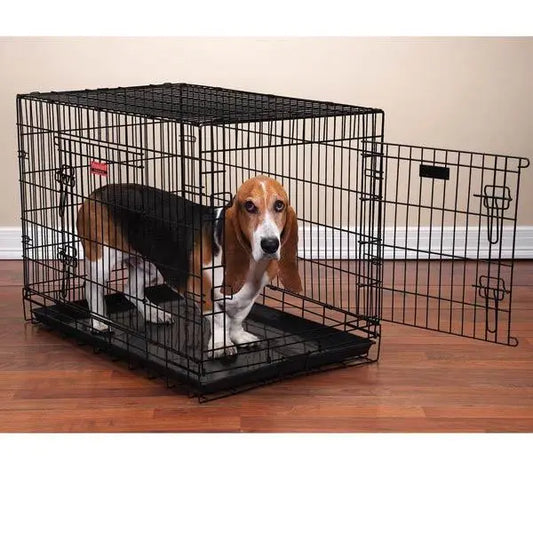 PS Everlast Crate w/Dual Doors BearwoodEssentials-Elevated Pet Feeders