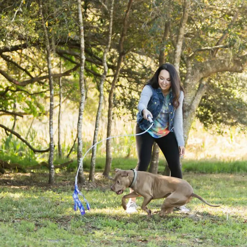 Flirt Pole V2 Dog Toy with Lure BearwoodEssentials-Elevated Pet Feeders