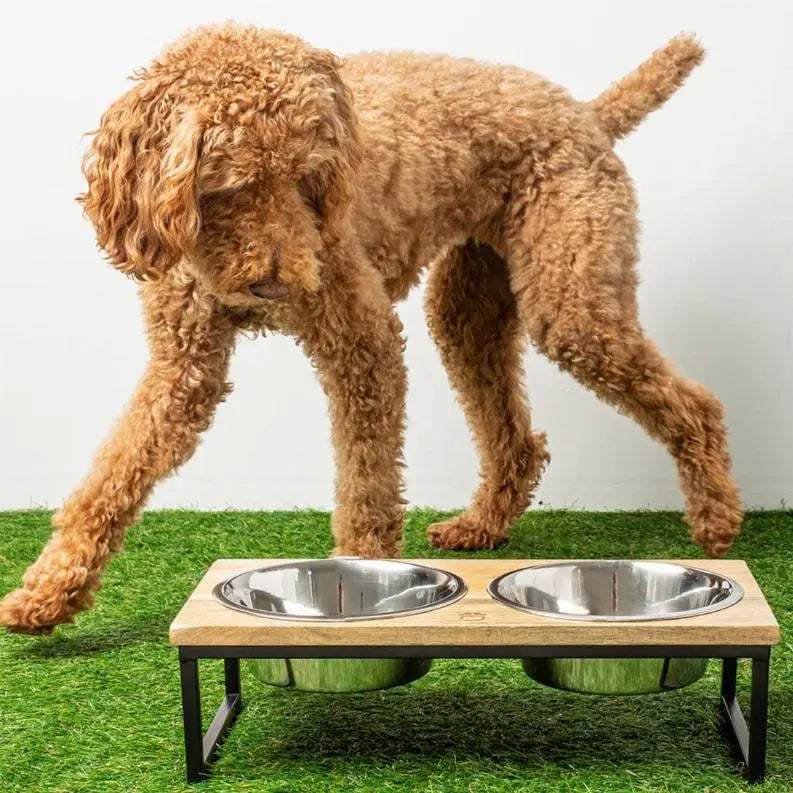 GF Pet Wood & Metal Elevated Feeder BearwoodEssentials-Elevated Pet Feeders