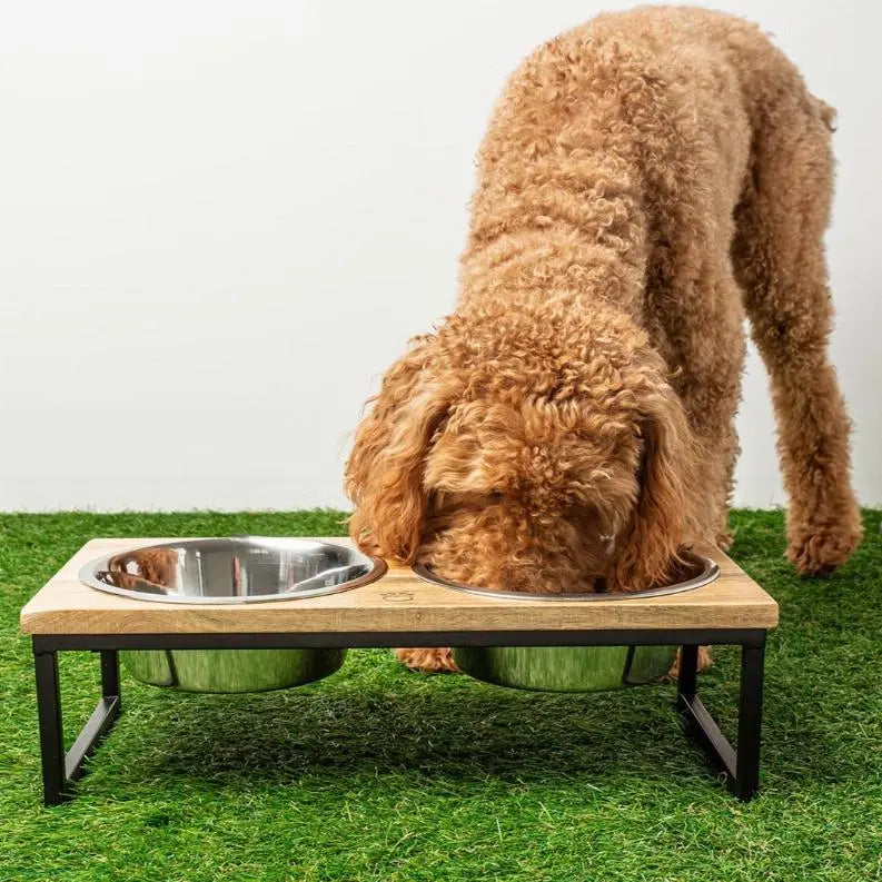GF Pet Wood & Metal Elevated Feeder BearwoodEssentials-Elevated Pet Feeders