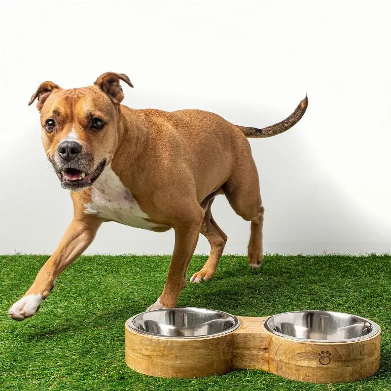GF Pet Wood & Metal Feeder Double Diner BearwoodEssentials-Elevated Pet Feeders