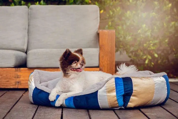 Golden Waves Reversible Pet Bed BearwoodEssentials-Elevated Pet Feeders