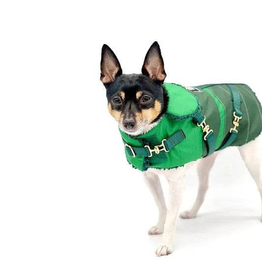 "Green with Envy" - DCNY Equestrian Collection BearwoodEssentials-Elevated Pet Feeders