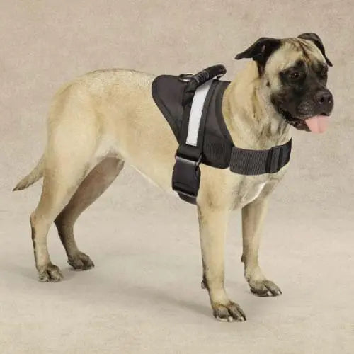Guardian Gear Excursion Harnesses 36-46In BearwoodEssentials-Elevated Pet Feeders