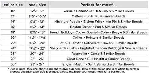 Hound Plain Collar by Angel 14" X 1.75" , Midnight Black BearwoodEssentials-Elevated Pet Feeders