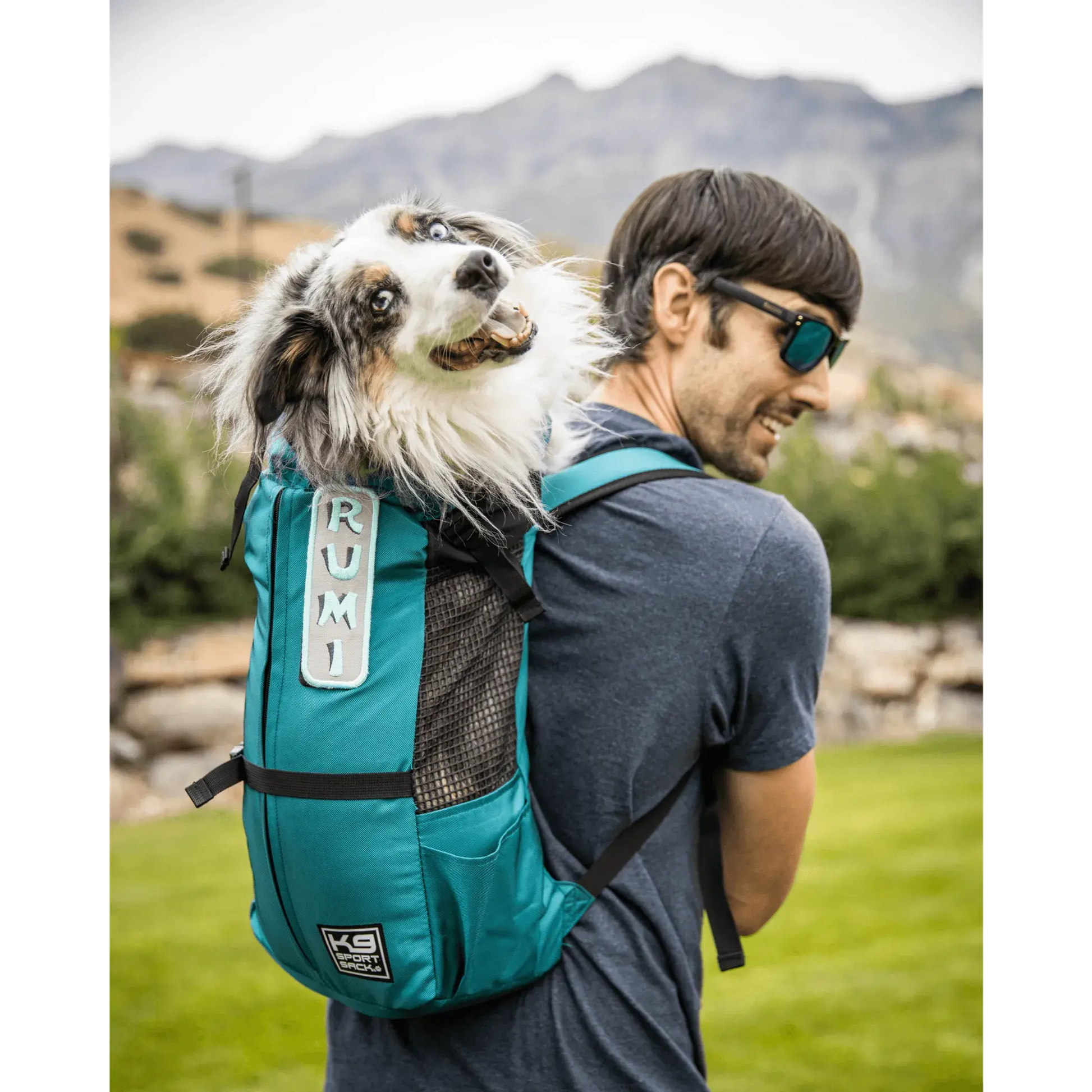 K9 Sport Sack Trainer K9 Sport Sack