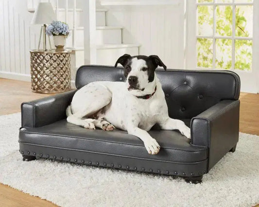 Library Sofa BearwoodEssentials-Elevated Pet Feeders
