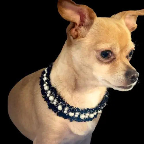 Luxurious Tweed Collar BearwoodEssentials-Elevated Pet Feeders