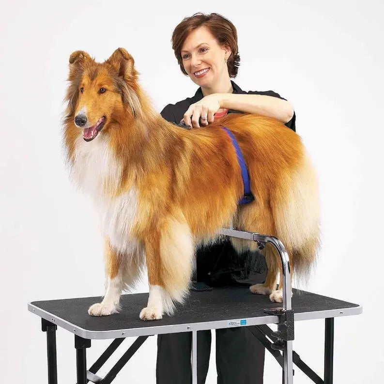 ME Adjustable Grooming Support BearwoodEssentials-Elevated Pet Feeders