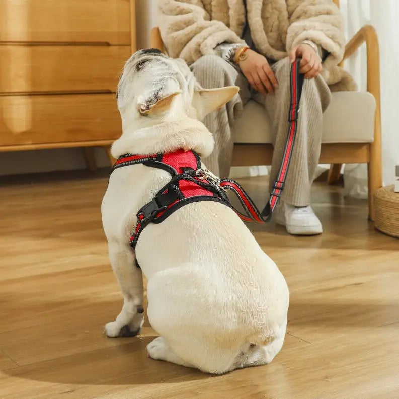 Mr. Peanut's PetTrek Reflective Pet Harness With Matching Leash BearwoodEssentials-Elevated Pet Feeders
