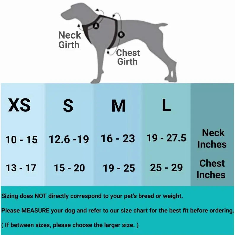 Mr. Peanut's PetTrek Reflective Pet Harness With Matching Leash BearwoodEssentials-Elevated Pet Feeders