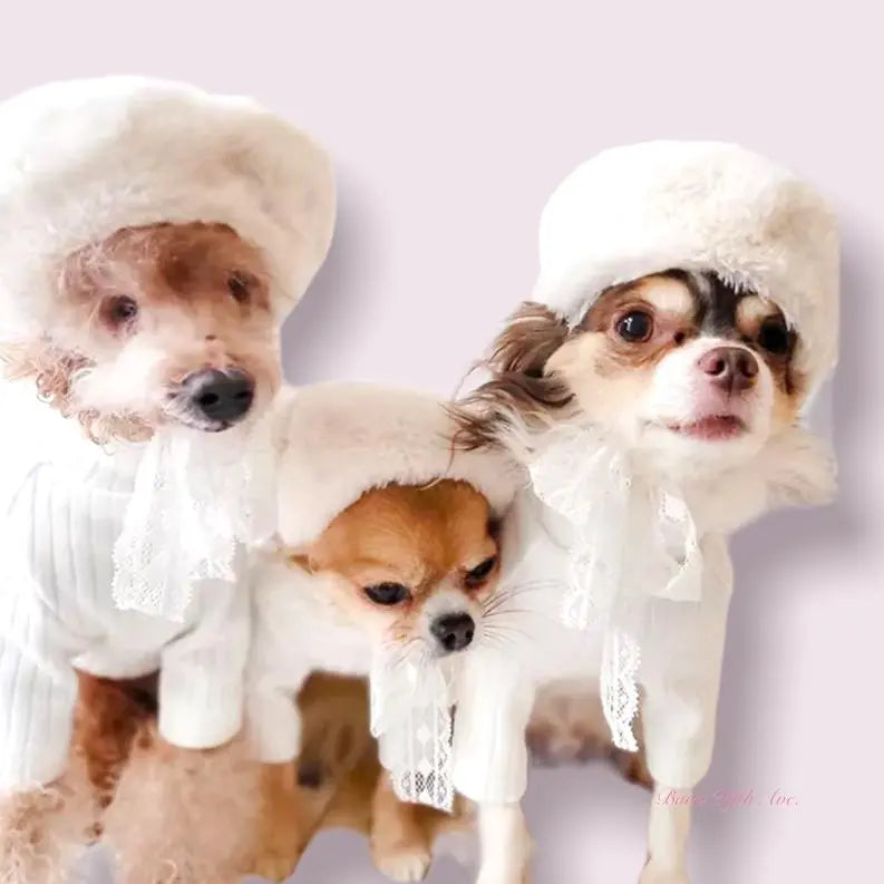 My Furry Beret BearwoodEssentials-Elevated Pet Feeders