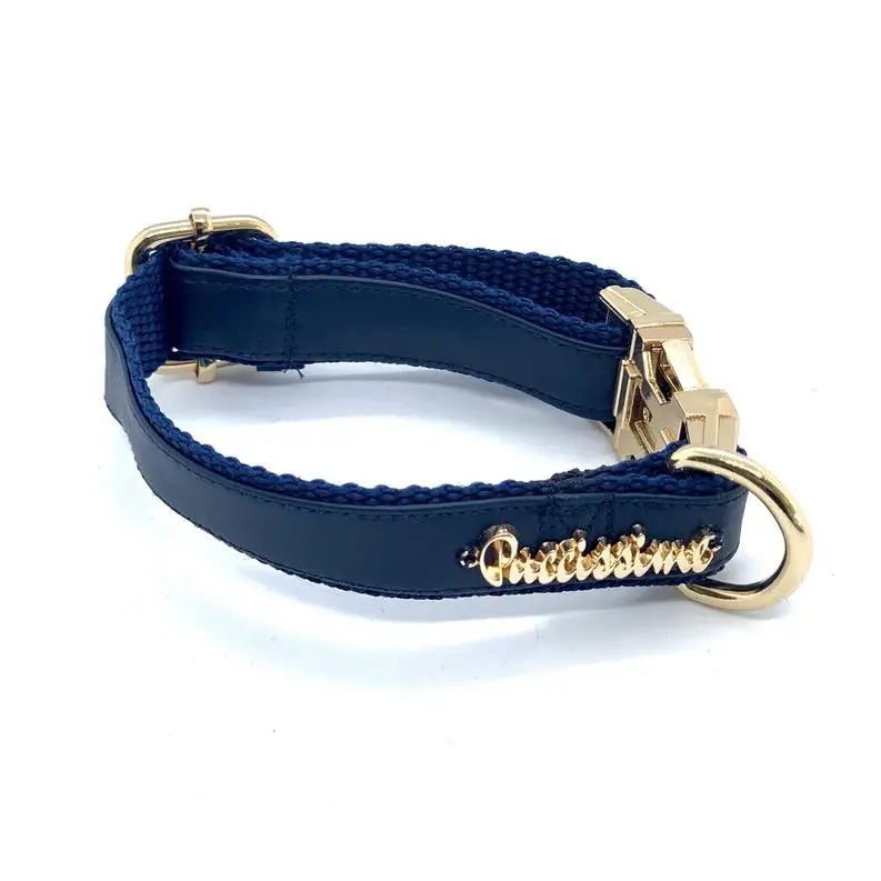 Neptune Dog Collar, Bow Tie, Leash Set BearwoodEssentials-Elevated Pet Feeders