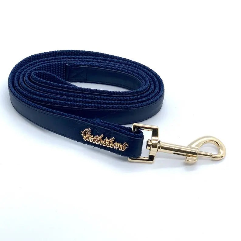 Neptune Dog Collar, Bow Tie, Leash Set BearwoodEssentials-Elevated Pet Feeders