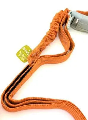 Omni Multi-Length Leash BearwoodEssentials-Elevated Pet Feeders