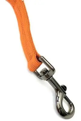 Omni Multi-Length Leash BearwoodEssentials-Elevated Pet Feeders