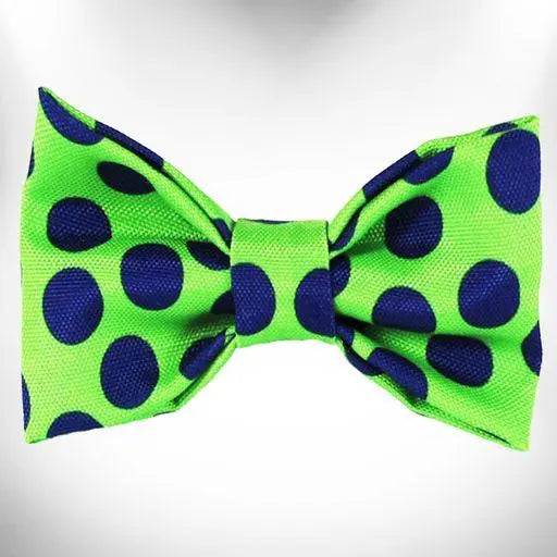 Polka Dot Dog - Neon Bow Tie BearwoodEssentials-Elevated Pet Feeders
