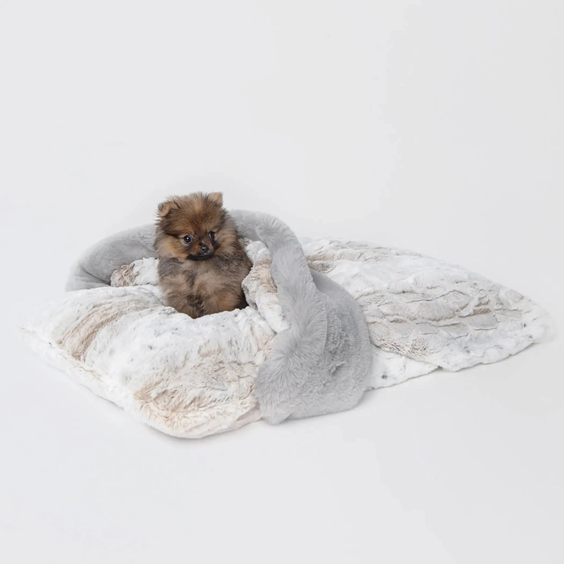 Ritz Hideaway Hello Doggie