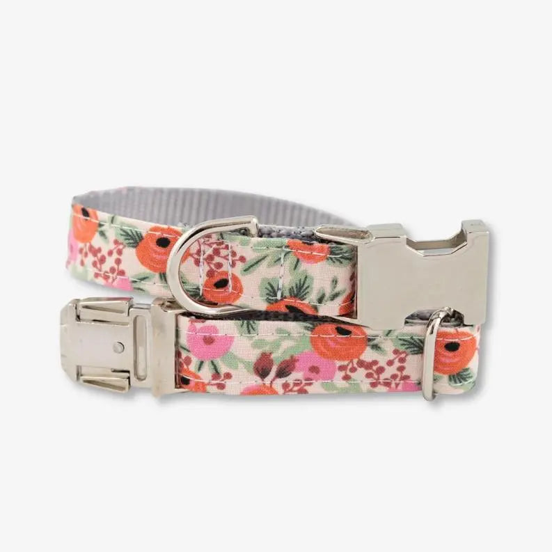 Rosa Blush Collar BearwoodEssentials-Elevated Pet Feeders