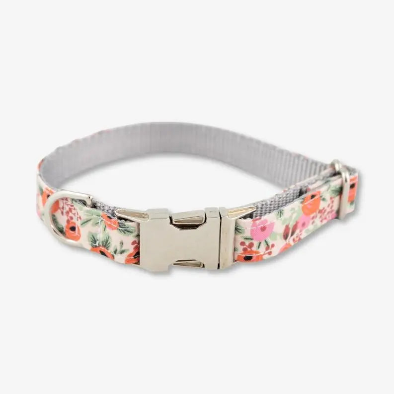 Rosa Blush Collar BearwoodEssentials-Elevated Pet Feeders