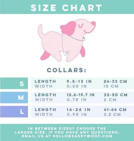 Sassy Woof Dog Collars BearwoodEssentials-Elevated Pet Feeders