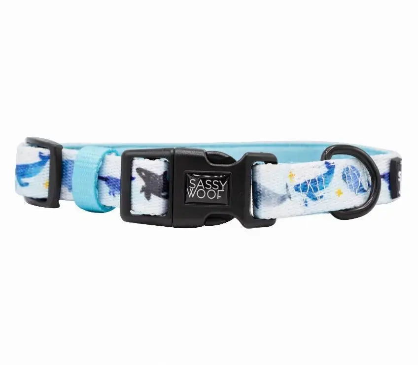 Sassy Woof Dog Collars BearwoodEssentials-Elevated Pet Feeders