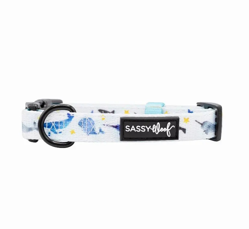 Sassy Woof Dog Collars BearwoodEssentials-Elevated Pet Feeders