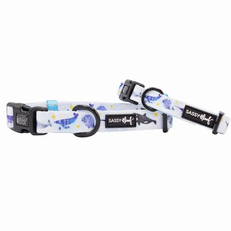 Sassy Woof Dog Collars BearwoodEssentials-Elevated Pet Feeders