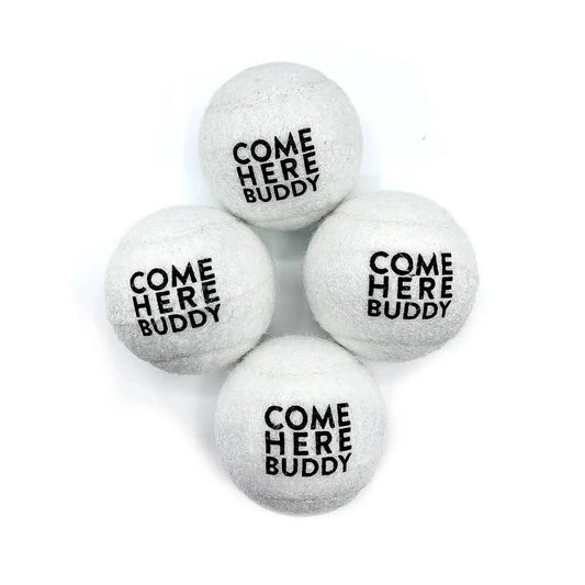 Set of 4 Come Here Buddy Tennis Balls in White Come Here Buddy