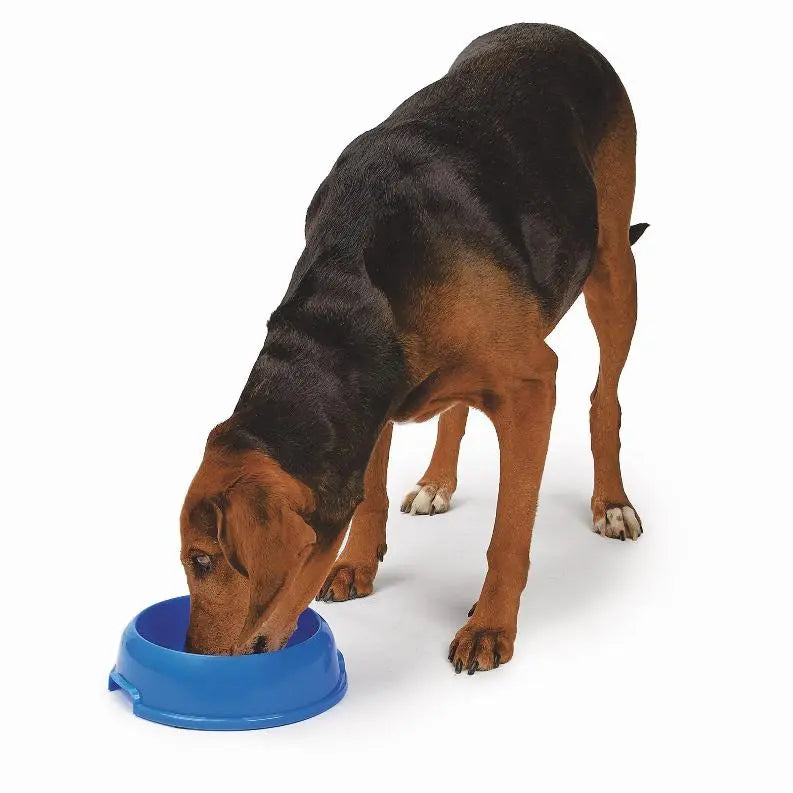 Small Single Feeder P901 BearwoodEssentials-Elevated Pet Feeders