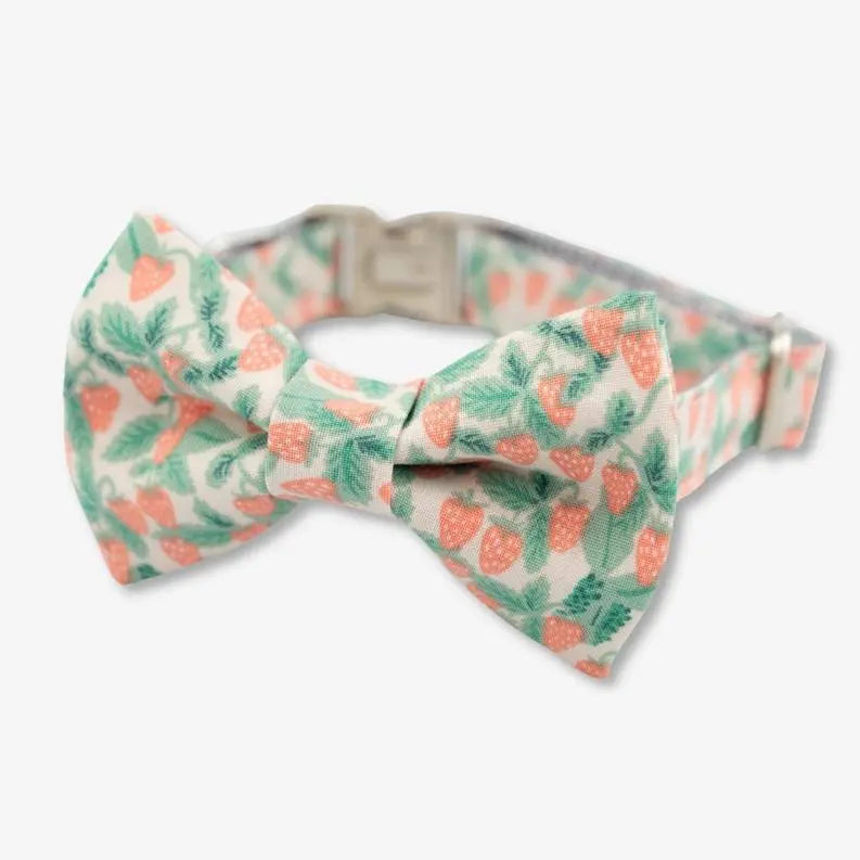 Strawberry Bow Tie Dog Collar BearwoodEssentials-Elevated Pet Feeders