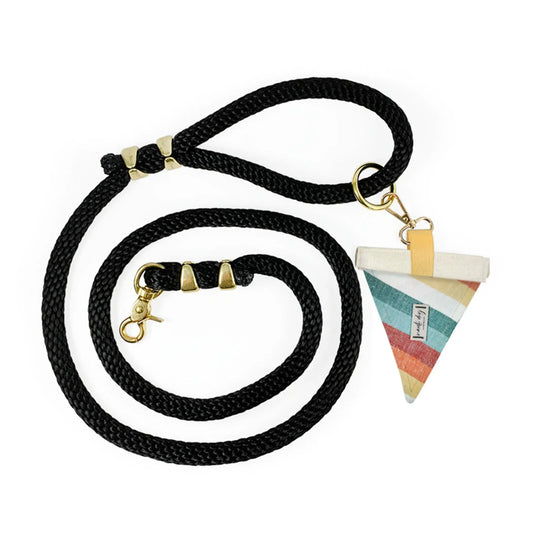 Sunset Retro-mod Stripe Premium Rope Dog Leash Nauti-dog Handmade