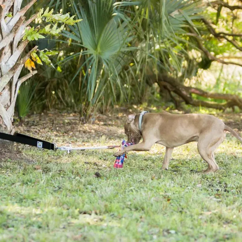 Super Tug Dog Toy BearwoodEssentials-Elevated Pet Feeders